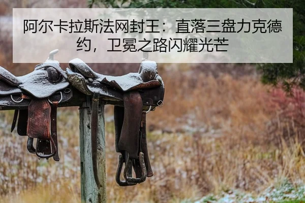 a-er-ka-la-si-fa-wang-feng-wang-zhi-luo-san-pan-li-ke-de-yue-wei-mian-zhi-lu-shan-yao-guang-mang-2-652.jpg